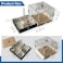 Ants Footsteps Ant Farm Nest Science DIY Terrarium Kit Care for Live Ants Ant Habitat with Water Tower Nurturing Room and Comprehensive Observation