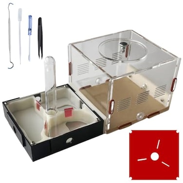 Ants Footsteps Ant Farm Nest Science DIY Terrarium Kit Care for Live Ants Ant Habitat with Water Tower Nurturing Room and Comprehensive Observation
