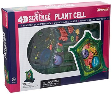 TEDCO Famemaster 4DScience Plant Cell Anatomy Model