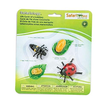 Safari Ltd. Safari Ltd Life Cycle of a Ladybug Educational Toy Figurines Miniature Beetle Lifecycle Collection for Boys Girls Kids Age 4