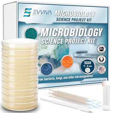 ES EVVIVA Evviva Sciences Microbiology Science Project Kit PrePoured Agar Plates for Students Agar Petri Dishes to Learn Microbiology with Educational Experiment eBook