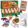 MindWare Dig It Up Dinosaur eggs excavation kit