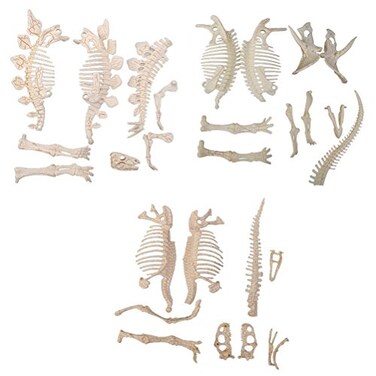 NUOLUX 3Pcs 4D Dinosaur Fossil Skeleton Toys DIY for Kids Fossil Skeleton Figure