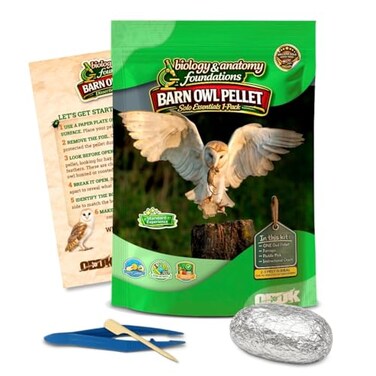 Owl Brand Barn Owl Pellets Classroom 1 Pack Medium Dissection Kit for Ecology STEM Includes Forceps Picks Teacher Guide HandsOn Science Activity
