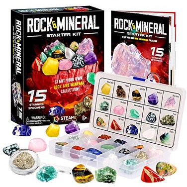 XX Rocks Collection 15Piece Rock Collections for Kids Cool Geology Gem Kit with Identification Sheet Gemstones Set Box with Learning Guide and Storage Case Educational Gift for Kid