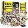 XX Rocks Minerals Fossils Collection for Kids 250 Real Gemstones and Crystals Rock Identification Kit Includes Display Case Genuine Fossils Geodes Great Geology Science Gift for Boys Girls