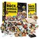 XX Rocks Minerals Fossils Collection for Kids 250 Real Gemstones and Crystals Rock Identification Kit Includes Display Case Genuine Fossils Geodes Great Geology Science Gift for Boys Girls