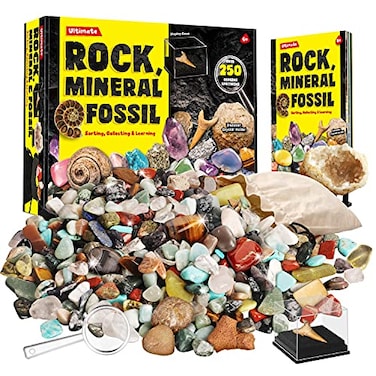 XX Rocks Minerals Fossils Collection for Kids 250 Real Gemstones and Crystals Rock Identification Kit Includes Display Case Genuine Fossils Geodes Great Geology Science Gift for Boys Girls