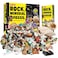 XX Rocks Minerals Fossils Collection for Kids 250 Real Gemstones and Crystals Rock Identification Kit Includes Display Case Genuine Fossils Geodes Great Geology Science Gift for Boys Girls