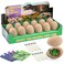 Bigear BIGEAR Easter Dinosaur Eggs Excavation Dig Kit Dinosaur Toys for Kids Break Open 12 Dinosaur Eggs and Discover 12 Cute Dinosaurs Archaeology Preschool Science STEM Crafts Birthday Gifts for Boy