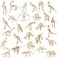 Zhanmai 60 Pcs Dinosaur Fossil Skeleton Assorted Dinosaur Skeleton Figures Educational Dino Bones Gift Toys for Science Dino Sand Dig Birthday Party Party Favor Decorations