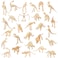 Zhanmai 60 Pcs Dinosaur Fossil Skeleton Assorted Dinosaur Skeleton Figures Educational Dino Bones Gift Toys for Science Dino Sand Dig Birthday Party Party Favor Decorations
