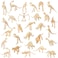 Zhanmai 60 Pcs Dinosaur Fossil Skeleton Assorted Dinosaur Skeleton Figures Educational Dino Bones Gift Toys for Science Dino Sand Dig Birthday Party Party Favor Decorations