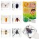 EJLIFEBOX 6 PCS Resin Insect Specimen Set Butterfly Jewel Frog Beetle Silk Moth Chafer Stinkbug Wasp Science Education Toy for Kids