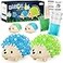 sdaymol Crystal Growing Kit for Kids 2 Colors Hedgehog to Grow Fast in 24HScience Experiments Learning Educational ToysScience Kits for Kids Age 812 STEM Project Gifts for Boys Girls 6