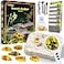 GobiDex Amber Dig KitArtificial Insect Resin Excavate 6 Insects Specimens STEM Geographic Educational Bugs Toys Excavation Toys for Fun Bugs Party Favors Science Kits for Kids Age 68 812