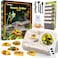 GobiDex Amber Dig KitArtificial Insect Resin Excavate 6 Insects Specimens STEM Geographic Educational Bugs Toys Excavation Toys for Fun Bugs Party Favors Science Kits for Kids Age 68 812