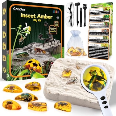 GobiDex Amber Dig KitArtificial Insect Resin Excavate 6 Insects Specimens STEM Geographic Educational Bugs Toys Excavation Toys for Fun Bugs Party Favors Science Kits for Kids Age 68 812