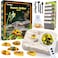 GobiDex Amber Dig KitArtificial Insect Resin Excavate 6 Insects Specimens STEM Geographic Educational Bugs Toys Excavation Toys for Fun Bugs Party Favors Science Kits for Kids Age 68 812