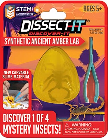 Dissect It DiscoverIt Dissection Kit for Kids Synthetic Amber Science Lab Kit to Learn About Insects Science Toys for Kids Ages 5 and Above