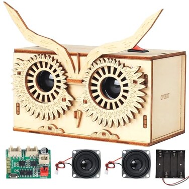 SCAEMO DIY Bluetooth Speaker Kit Stem Projects for Kids Ages 812 Science Kits for Kids Age 1214 STEM Learning Project Science Gift for Boys Teens Age 10 11 12 13 14 15 16