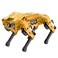 LewanSoul MechDog Robot Dog for Arduino Scratch Python Starter Smart Robot Kit with ESP32 AI Camera Self Balancing Target RecognitionTracing Open Source Bionic Quadruped Programming Science Set Standa