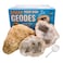 TruEnergy Jumbo Break Your Own Geodes 2 Massive Natural Crystal Geodes 45 to 65 Inch Easy CrackOpen Geology Specimens Magnifying Glass Geologist Guide Gift Ready Jumbo