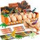 Zippytots Dinosaur Egg Dig Kit 12 Unique Eggs STEM Science Toy for Kids 38