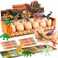 Zippytots Dinosaur Egg Dig Kit 12 Unique Eggs STEM Science Toy for Kids 38