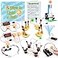 GadgetGlee Science Circuit Kit Electricity for Kids STEM Electrical Light Bulb Experiment Electric Science Gifts Fair Project Kits Age 812 Fruit Energy Experiments Circuits Engineering Projects