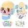 LUCKY GUESS 2026 New Human Anatomy Skull Model 17 Part Puzzle with 10 Knowledge Flash Cards Detachable PalmSized Mini Medical Model Clinic Teaching Equipment STEM Toy Gift for Kids