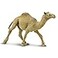Safari Ltd. Safari Ltd Dromedary Camel Figurine Lifelike HandPainted 575 Model Figure Educational Toy for Boys Girls Kids Ages 3
