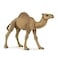 Papo Realistic Dromedary Figure Ages 3 Wild Life Collection Educational Play Desert Animals Gift Idea Toy for Girls and Boys