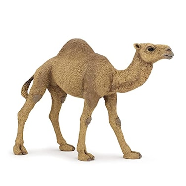 Papo Realistic Dromedary Figure Ages 3 Wild Life Collection Educational Play Desert Animals Gift Idea Toy for Girls and Boys