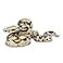 Safari Ltd. Safari Ltd Boa Constrictor Figurine Realistic 6 Snake Figure Educational Toy for Boys Girls and Kids Ages 3