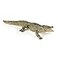 Papo Alligator Figure 3 Years Wild Life Collection