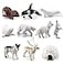 NatureMan Mini Arctic Animals Toys Set 10PCS Polar Animal Figurines Toy PlaysetIncludes Polar Bear Seal Reindeer Wolf Rabbit Arctic Fox Igloo for Toddlers Birthday Gift