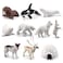 NatureMan Mini Arctic Animals Toys Set 10PCS Polar Animal Figurines Toy PlaysetIncludes Polar Bear Seal Reindeer Wolf Rabbit Arctic Fox Igloo for Toddlers Birthday Gift