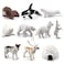 NatureMan Mini Arctic Animals Toys Set 10PCS Polar Animal Figurines Toy PlaysetIncludes Polar Bear Seal Reindeer Wolf Rabbit Arctic Fox Igloo for Toddlers Birthday Gift