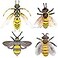 Bbiamsleep 4 Pcs Bee Figurine Set Realistic Bee Figure Honeybee Figurines Bees Model Various Bees Model Fake Bees Animal Figures Insect Toy for Science Project Cake Topper