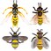 Bbiamsleep 4 Pcs Bee Figurine Set Realistic Bee Figure Honeybee Figurines Bees Model Various Bees Model Fake Bees Animal Figures Insect Toy for Science Project Cake Topper