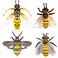 Bbiamsleep 4 Pcs Bee Figurine Set Realistic Bee Figure Honeybee Figurines Bees Model Various Bees Model Fake Bees Animal Figures Insect Toy for Science Project Cake Topper