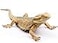 Rismise Lizard Figurine Toys Lizard Animals Figures Lizards Toys Plastic Lizards Model Bearded Dragon Animal Figurines for Cake Decoration Educational Toy Gecko Animal Trick Reptile Prank Props