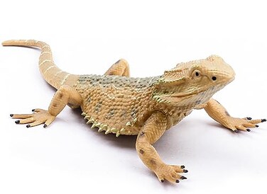 Rismise Lizard Figurine Toys Lizard Animals Figures Lizards Toys Plastic Lizards Model Bearded Dragon Animal Figurines for Cake Decoration Educational Toy Gecko Animal Trick Reptile Prank Props
