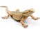 Rismise Lizard Figurine Toys Lizard Animals Figures Lizards Toys Plastic Lizards Model Bearded Dragon Animal Figurines for Cake Decoration Educational Toy Gecko Animal Trick Reptile Prank Props