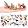 HOMNIVE Realistic Bird Figurines 24pcs Eagle Parrot Robin Owl Toys Fairy Garden Accessories Educational Learning Dollhouse Birthday Cake Topper Gift for Kids