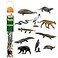 Safari Ltd. Safari Ltd Everglades TOOB 11 Mini Figurines Manatee Alligator Turtle More Educational Toy Set for Boys Girls Kids Ages 3