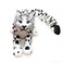 BuQueHM 3D Printed Animals 8in Snow Leopard Flexible Articulated 3D Animals for Stress Relief Unique Desk Decor