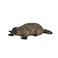 MOJO Duck Billed Platypus Toy Figure