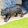 Gemini&amp;Genius GeminiGenius Leopard Animal Toy Black Leopard Wildlife Action Figure for Kids